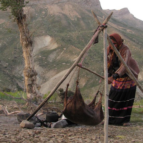 nomadic woman , churn Mashk to make yogurt in wild nature where they live, Iran