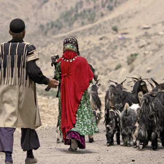Bakhtiari nomads wearing local clothes going to graze their ships, nomadic lifestyle, Iran