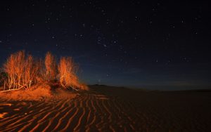 varzane desert 5 300x188 - BEST Isfahan Tours, City Tours & Excursion Trips 2024