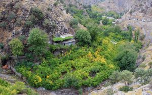 Kurdestan 10 300x188 - BEST Kermanshah Tour Packages 2024 | Travel To Kermanshah