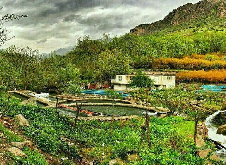 Daryan 2 - Daryan Village | Kurdish Village (Kurdistan, Kermanshah, Iran)