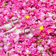 Rosewater Festival of Niasar4 185x185 - BEST Iran Festival Tour Packages & Ceremonies 2024 | Persian Festivals