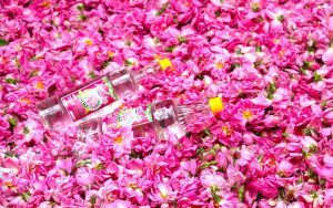 Rosewater Festival of Niasar4 300x188 - BEST Iran Day Tours & Excursions 2024 | One Day Trips in Iran
