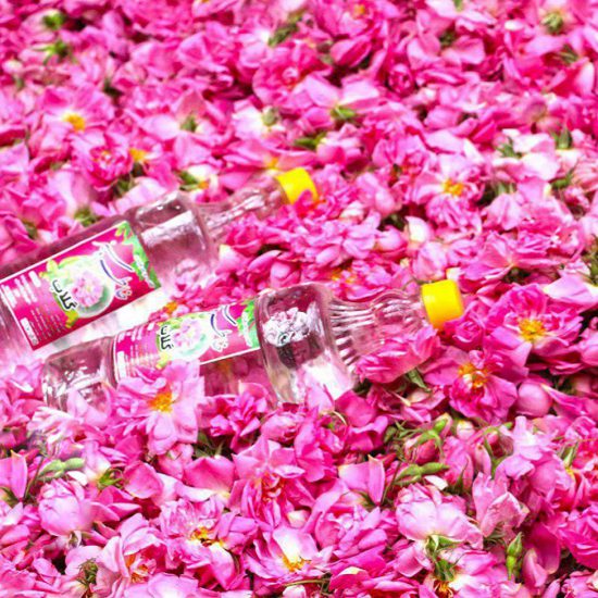 Rosewater Festival of Niasar, Iran