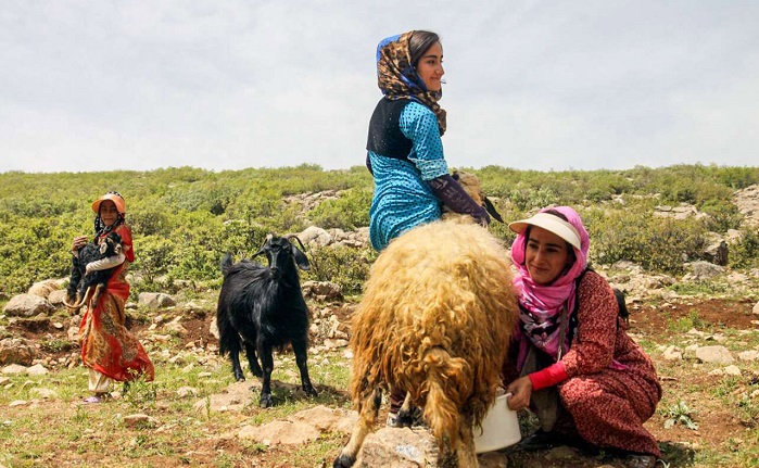 . - Nomads of Iran & Iranian Tribes