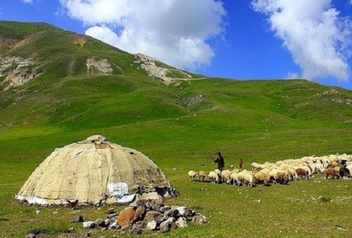 . 500x339 - BEST Iran Nomad Tours 2024 | Iranian Nomad Tours | Qashqai, Bakhtiari, Kurdish & Shahsavan Nomads