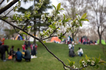 سیزده‌به‌در - Popular Festivals in Iran: Iranian Celebrations, Ancient Persian Holidays