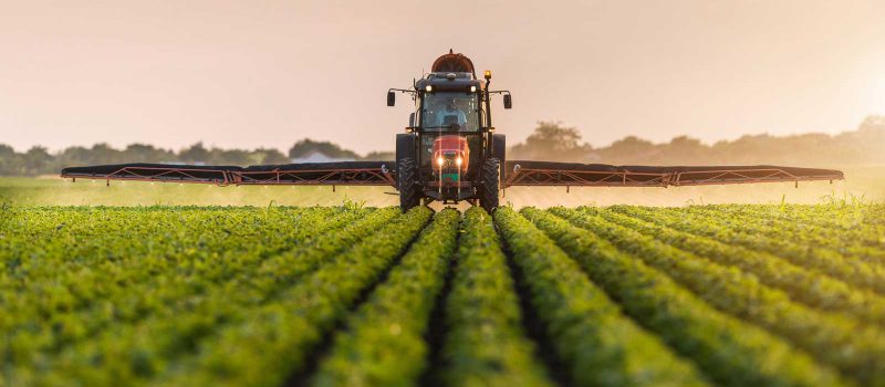 Iran Tehran International Exhibitions 2023 Agrofood 800x350 - Iran Tehran International Exhibitions 2023